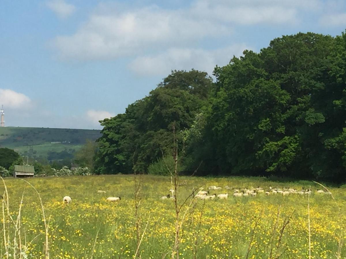 Shellow Lane Lodges Congleton Luaran gambar